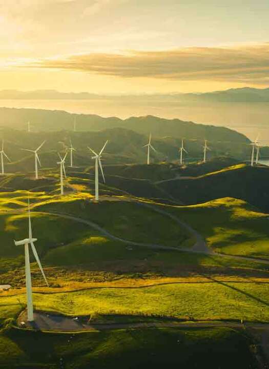 Renewable + Law Blog Image with Windmills