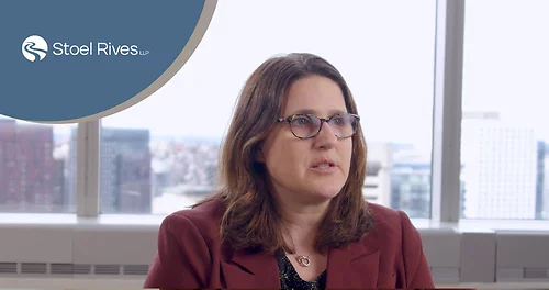 Patent Portfolio Strategies