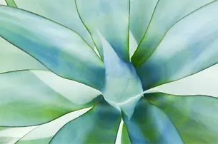 Abstract Leaf