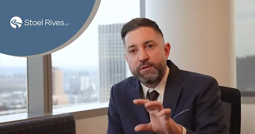 AI Legal Compliance: Tailored Strategies, Disclosure, and IP Risks