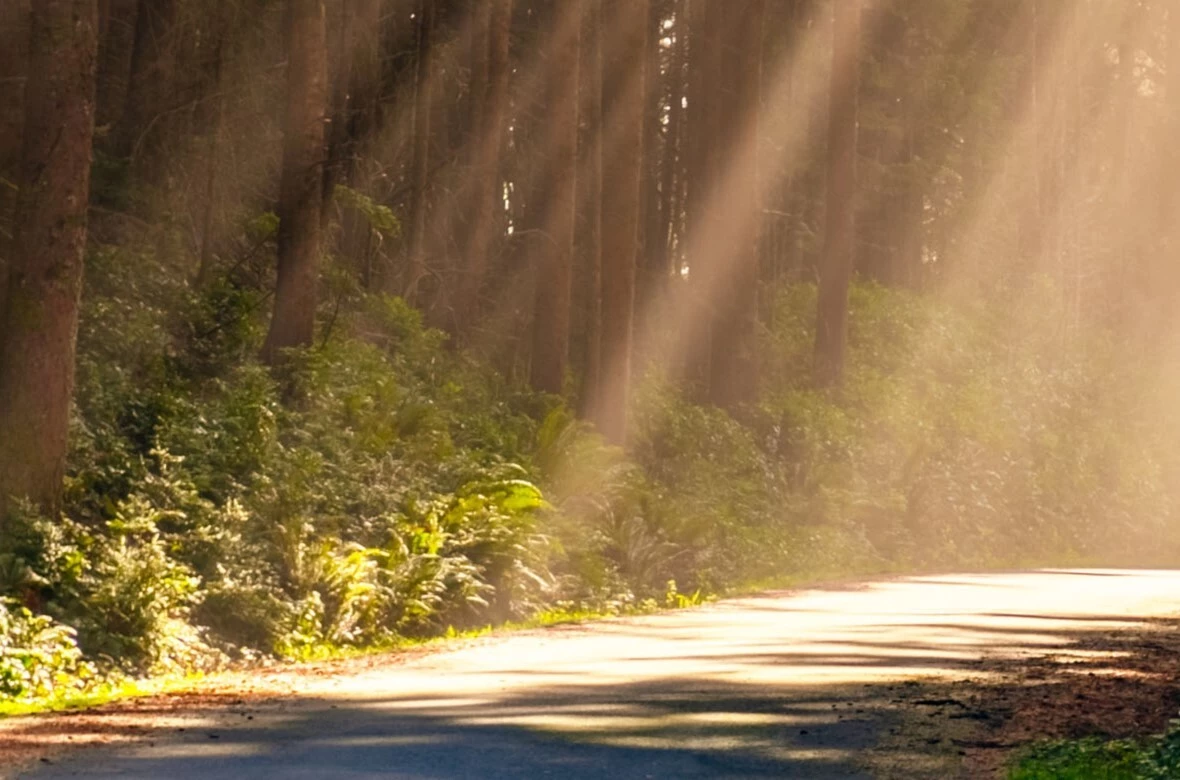 Stoel Rives Gains New Rankings in 2025 Chambers USA Guide