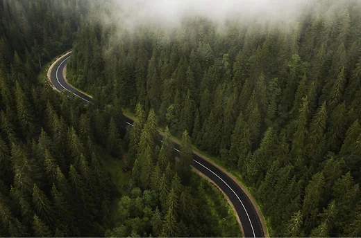 Road through the forest with misty clouds