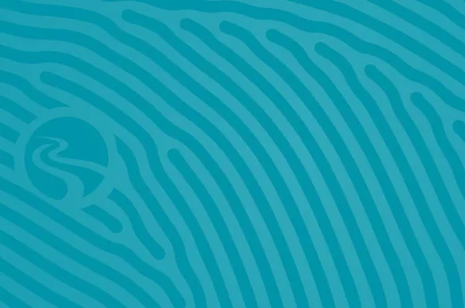 Turquoise design banner with Stoel Logo