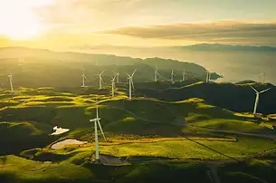 Renewable + Law Blog Image with Windmills