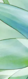 Abstract Leaf