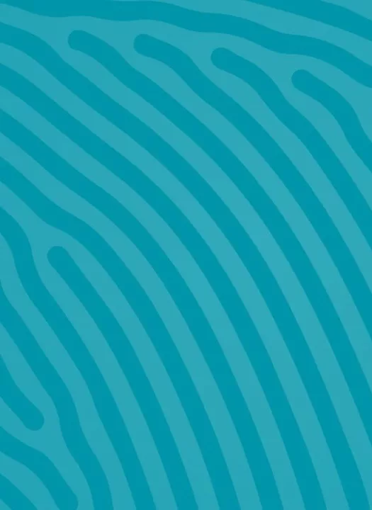 Turquoise design banner with Stoel Logo